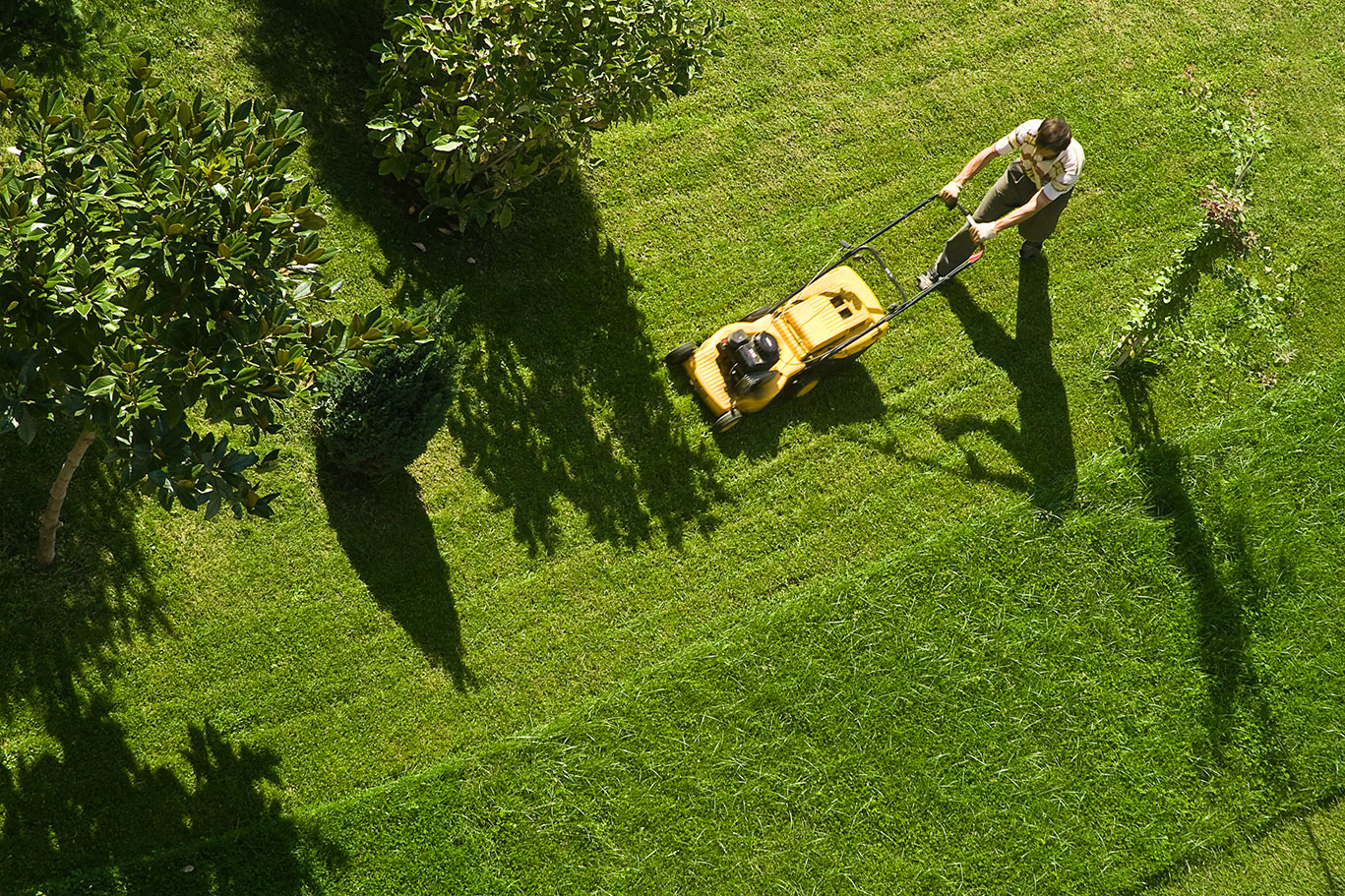 Cutting grass equipment