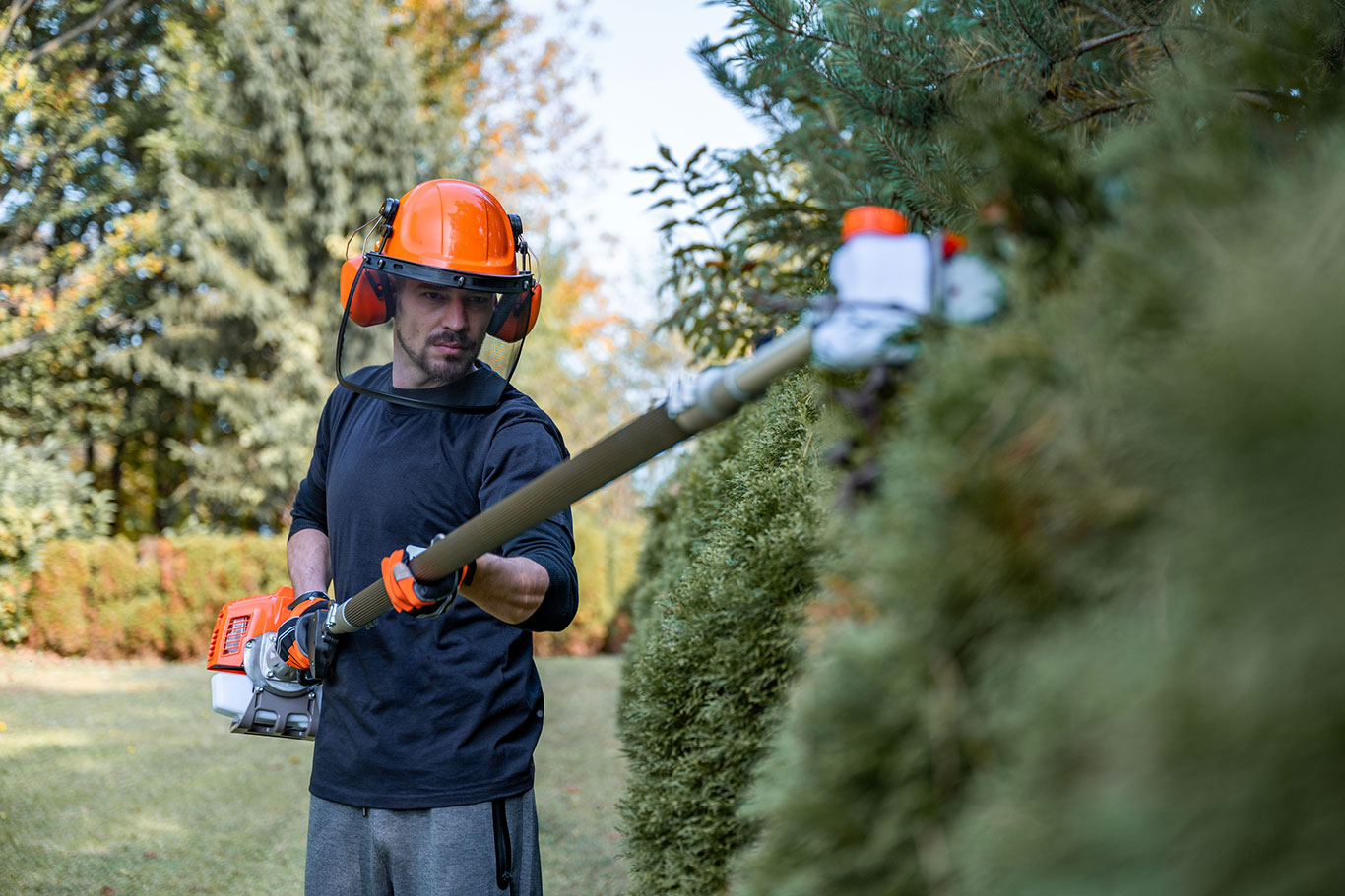 Hedge pruning services