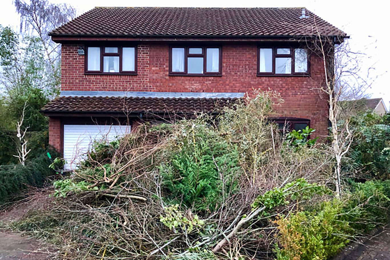 woodland management liphook