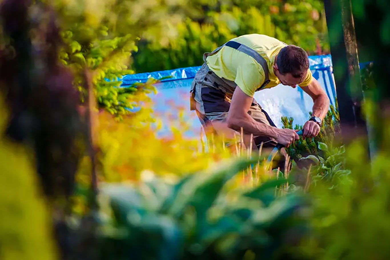 Garden and Estate Maintenance Liphook