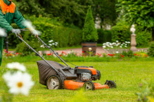Garden and Estate Maintenance Haslemere