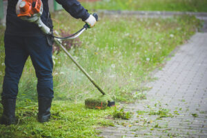 grass cutting liphook