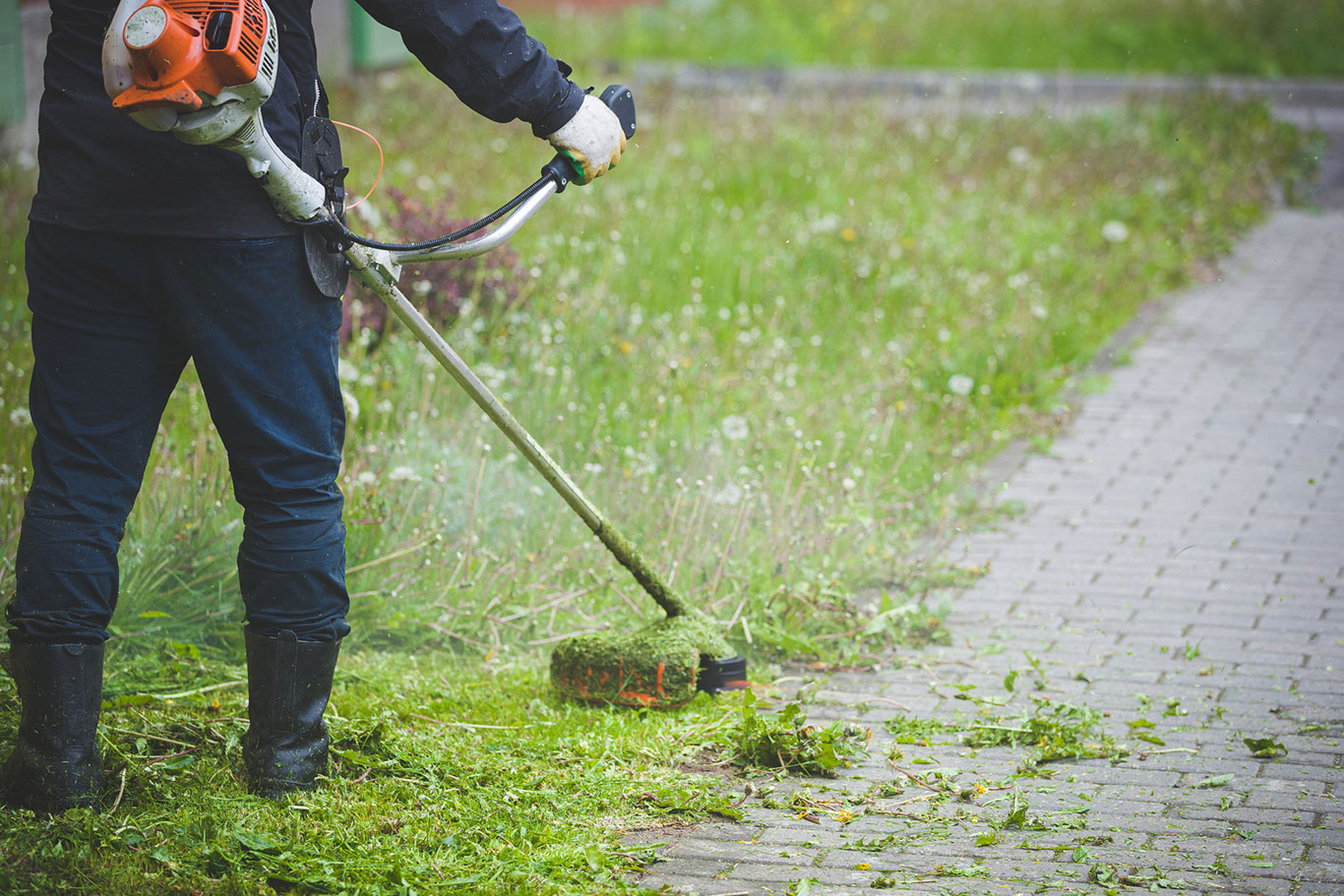 grass cutting liphook