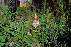 Overgrown Garden Clearance Liphook