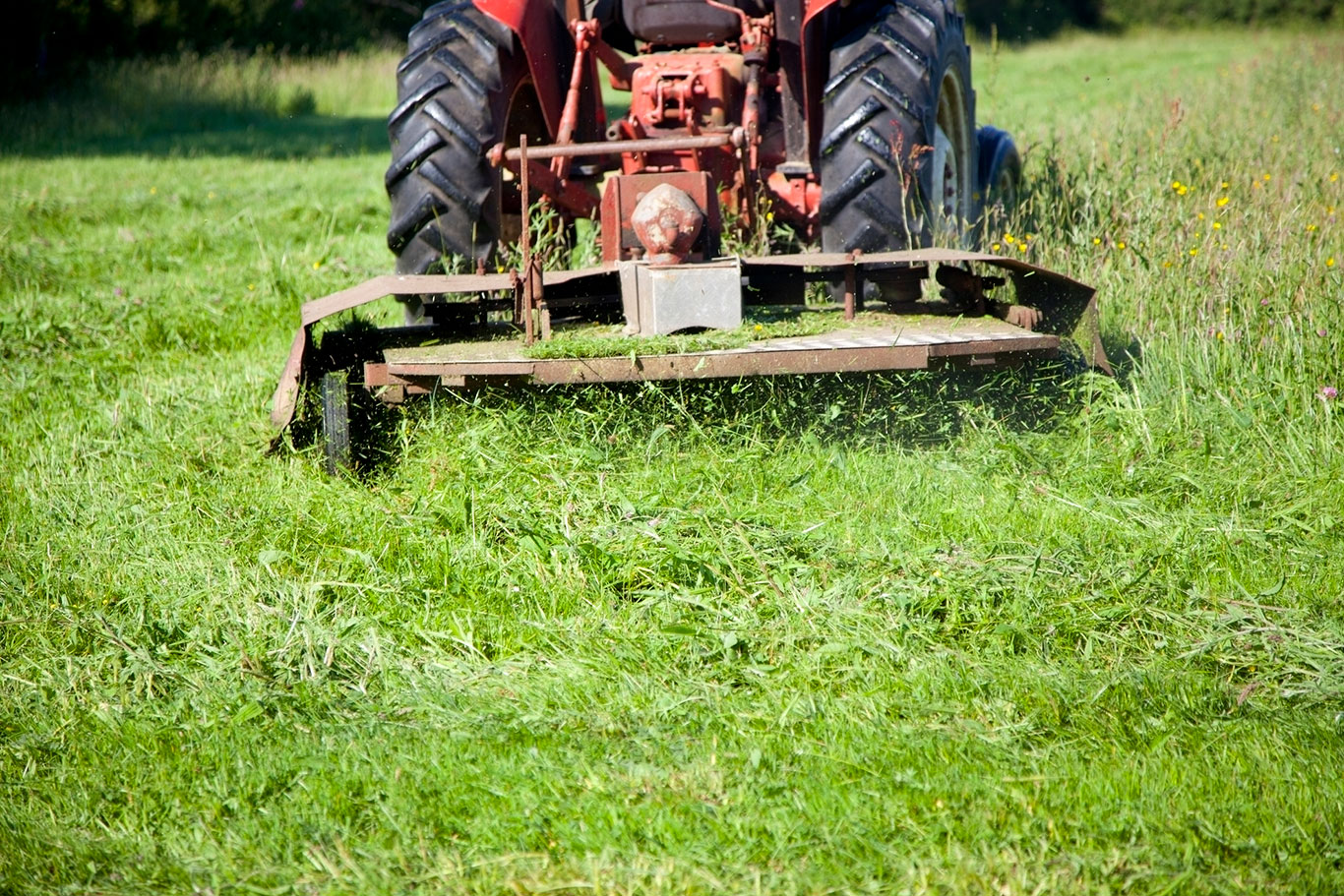 paddock topping liphook