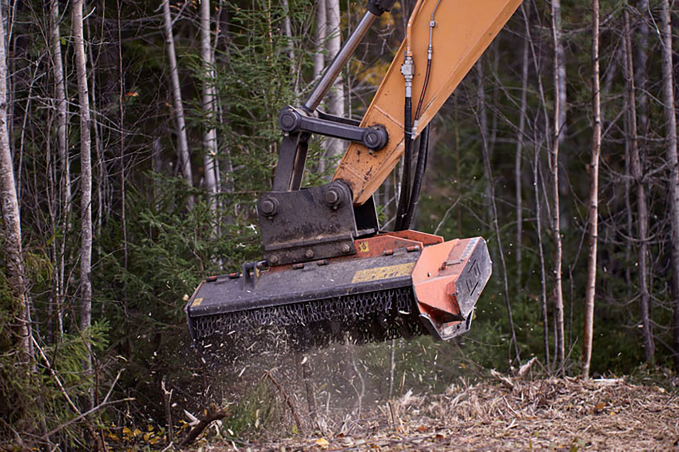 Scrub Clearance Liphook