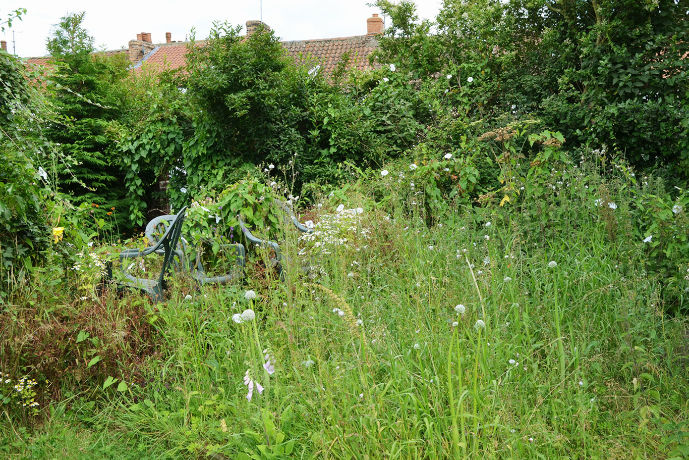 taming the garden liphook